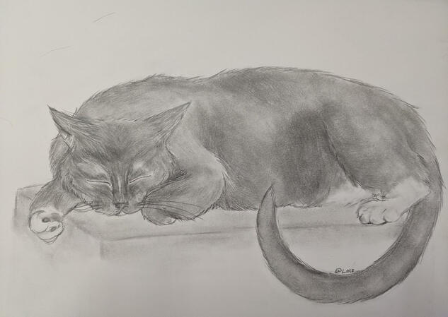 The Critter (10/8)